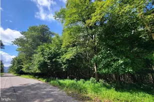 247 Whitetail Rd, Tamaqua, PA 18252 - Photo 11