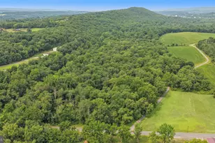 76 Zehner Ln, Landingville, PA 17942 - Photo 81