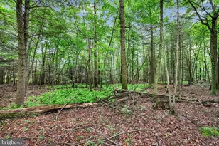 100 Lighthouse Ln, Pine Grove, PA 17963 - Photo 21