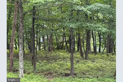 536 Haystack Drive, Zion Grove, PA 17985 - Photo 3