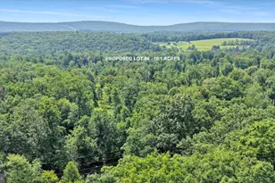 Lot 4 Back Road S, Barnesville, PA 18214 - Photo 1