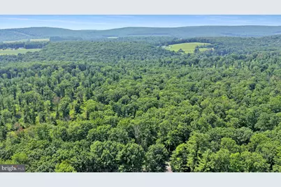 Lot 5 Back Road S, Barnesville, PA 18214 - Photo 3