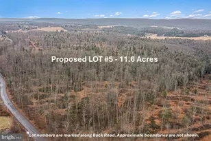 Lot 5 Back Road S, Barnesville, PA 18214 - Photo 1