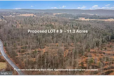 Lot 9 Back Road S, Barnesville, PA 18214 - Photo 1