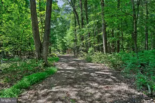 0 Moyers Station Rd, Schuylkill Haven, PA 17972 - Photo 1