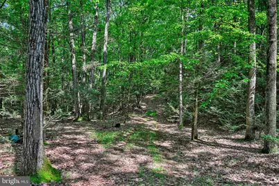 0 Moyers Station Road, Schuylkill Haven, PA 17972 - Photo 7
