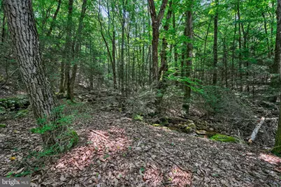 0 Moyers Station Road, Schuylkill Haven, PA 17972 - Photo 9