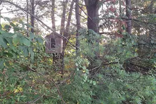 773 Deep Creek Rd, Ashland, PA 17921 - Photo 29
