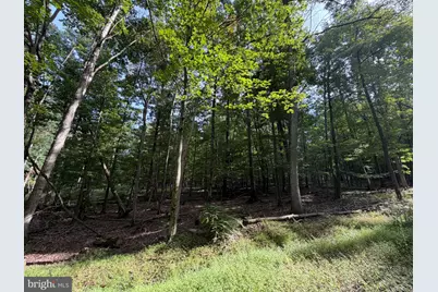 377 Davos Circle, Zion Grove, PA 17985 - Photo 3