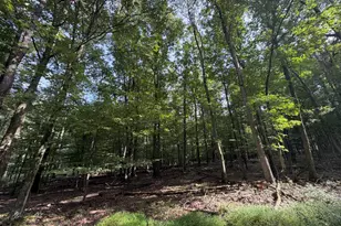 377 Davos Cir, Zion Grove, PA 17985 - Photo 1