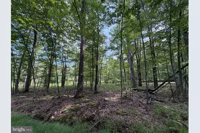 442 Haystack Drive, Zion Grove, PA 17985 - Photo 3