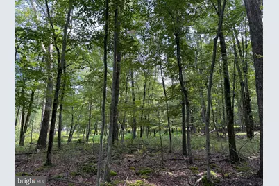 442 Haystack Drive, Zion Grove, PA 17985 - Photo 1