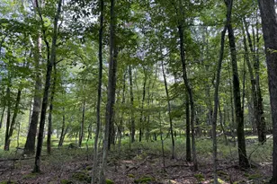 442 Hay Stack Dr, Zion Grove, PA 17985 - Photo 1