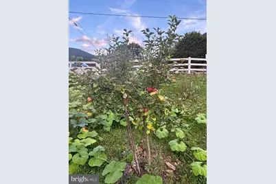 298 Plane E, Gordon, PA 17936 - Photo 17