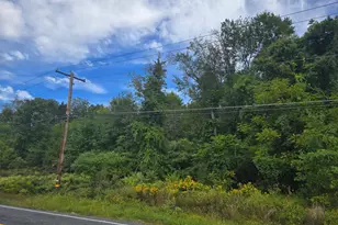 0 E Adamsdale Rd, Schuylkill Haven, PA 17972 - Photo 1
