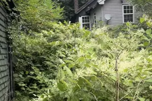 11 Willow St, Shenandoah, PA 17976 - Photo 1