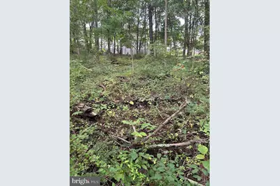 0 Centre Turnpike, Orwigsburg, PA 17961 - Photo 3