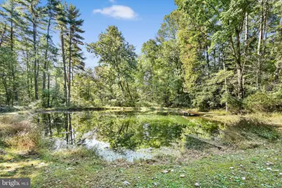 20 S Shady Road, Schuylkill Haven, PA 17972 - Photo 41