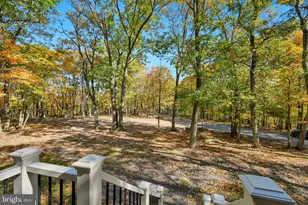 322 N Spring Mountain Dr, Zion Grove, PA 17985 - Photo 29
