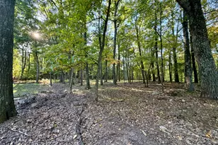 322 N Spring Mountain Dr, Zion Grove, PA 17985 - Photo 7