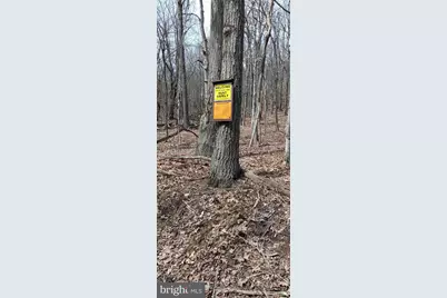 1243 Shaffer Mountain Road, Cairnbrook, PA 15924 - Photo 19