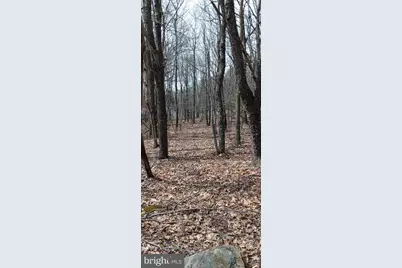 1243 Shaffer Mountain Road, Cairnbrook, PA 15924 - Photo 15