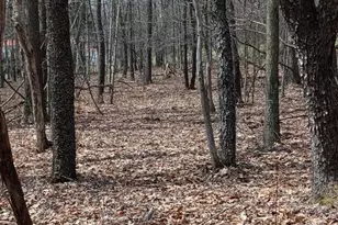 1243 Shaffer Mountain Rd, Cairnbrook, PA 15924 - Photo 15