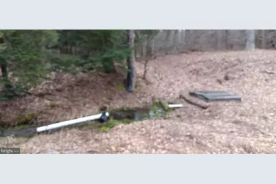 1243 Shaffer Mountain Road, Cairnbrook, PA 15924 - Photo 7