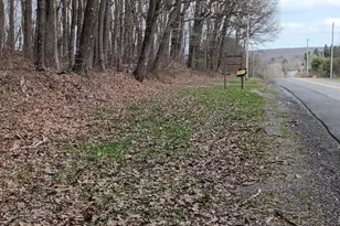 1243 Shaffer Mountain Rd, Cairnbrook, PA 15924 - Photo 17