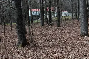 1243 Shaffer Mountain Rd, Cairnbrook, PA 15924 - Photo 5