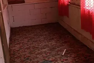 1243 Shaffer Mountain Rd, Cairnbrook, PA 15924 - Photo 21