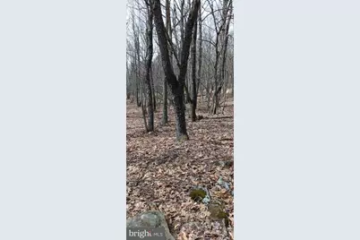 1243 Shaffer Mountain Road, Cairnbrook, PA 15924 - Photo 57