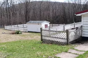 1243 Shaffer Mountain Rd, Cairnbrook, PA 15924 - Photo 53