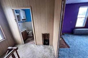 219 Large St, Meyersdale, PA 15552 - Photo 21