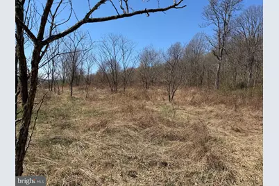 Tract 1: 87+/- Acres Tooland Rd, Fairhope, PA 15538 - Photo 23