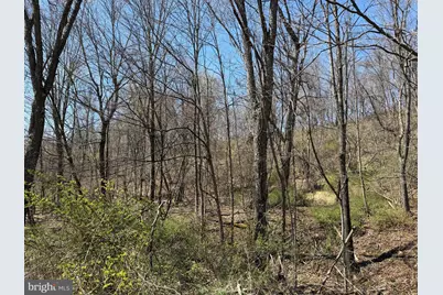 Tract 1: 87+/- Acres Tooland Rd, Fairhope, PA 15538 - Photo 37