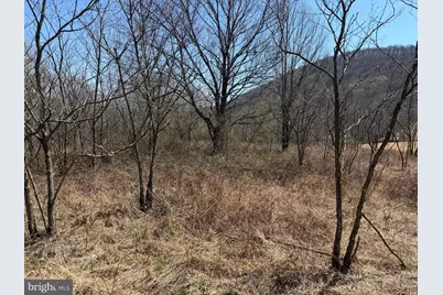 Tract 1: 87+/- Acres Tooland Rd, Fairhope, PA 15538 - Photo 21