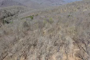 Tract 2: 40+/- Acres Off Of Tooland Rd, Fairhope, PA 15538 - Photo 7
