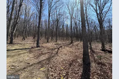 Tract 2: 40+/- Acres Off Of Tooland Rd, Fairhope, PA 15538 - Photo 59