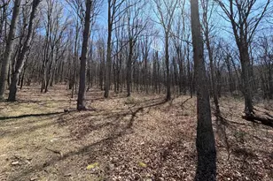 Tract 2: 40+/- Acres Off Of Tooland Rd, Fairhope, PA 15538 - Photo 59