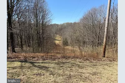 Tract 2: 40+/- Acres Off Of Tooland Rd, Fairhope, PA 15538 - Photo 55