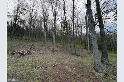 Tract 2: 40+/- Acres Off Of Tooland Rd, Fairhope, PA 15538 - Photo 27