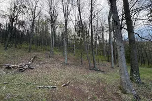 Tract 2: 40+/- Acres Off Of Tooland Rd, Fairhope, PA 15538 - Photo 27
