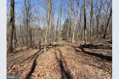 Tract 2: 40+/- Acres Off Of Tooland Rd, Fairhope, PA 15538 - Photo 65