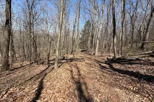 Tract 2: 40+/- Acres Off Of Tooland Rd, Fairhope, PA 15538 - Photo 65