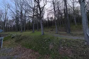 Tract 2: 40+/- Acres Off Of Tooland Rd, Fairhope, PA 15538 - Photo 25