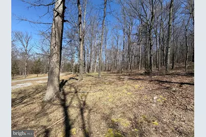 Tract 2: 40+/- Acres Off Of Tooland Rd, Fairhope, PA 15538 - Photo 61