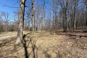 Tract 2: 40+/- Acres Off Of Tooland Rd, Fairhope, PA 15538 - Photo 61