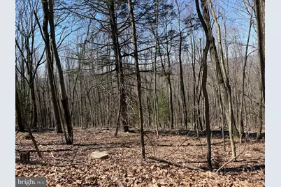 Tract 2: 40+/- Acres Off Of Tooland Rd, Fairhope, PA 15538 - Photo 77