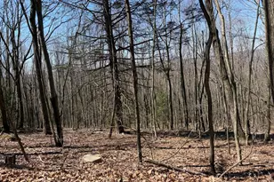 Tract 2: 40+/- Acres Off Of Tooland Rd, Fairhope, PA 15538 - Photo 77